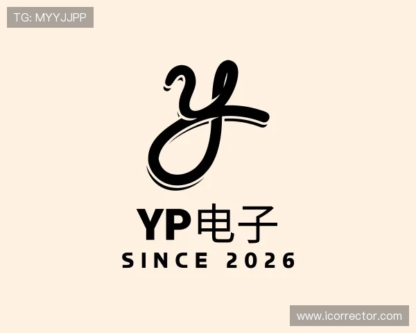发现YP电子